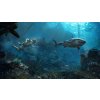 Assassin's Creed IV: Black Flag - Gold Edition (PC) Ubisoft Connect Key