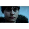 Battlefield V - Definitive Edition (PC) Origin Key