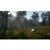 theHunter: Call of the Wild - Te Awaroa National Park DLC (PC) Steam Key