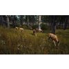Way of the Hunter (PC) Steam Key
