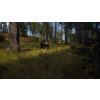 Way of the Hunter (PC) Steam Key