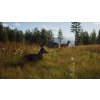 Way of the Hunter - Elite Edition (PC) Steam Key