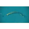 Jurassic World Evolution 2: Late Cretaceous Pack (PC) Steam Key