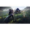 The Witcher 3: Wild Hunt Expansion Pass DLC (PC) GOG.COM Key