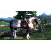The Elder Scrolls IV: Oblivion Game of the Year Edition Deluxe (PC) Steam Key