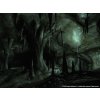The Elder Scrolls IV: Oblivion GOTY (PC) Steam Key