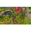 RollerCoaster Tycoon World Deluxe Edition (PC) Steam Key