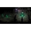 Pillars of Eternity - Royal Edition (PC) Steam Key