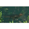 Planet Zoo: Tropical Pack DLC (PC) Steam Key