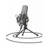 mikrofón TRUST GXT 242 Lance Streaming Microphone