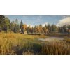 theHunter: Call of the Wild - Revontuli Coast DLC (PC) Steam Key