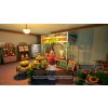 The Witch of Fern Island (PC) Steam Key