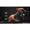 AEW: Fight Forever - Elite Edition (PC) Steam Key