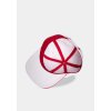 Assassin's Creed - Men's Snapback Cap