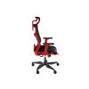 GENESIS ergonomické herné kreslo ASTAT 700 čierno-červené