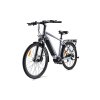 MS ENERGY eBike c101