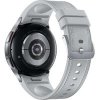 Samsung Galaxy Watch 6 Classic/43mm/Silver/Sport Band/Silver