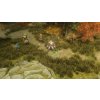Pathfinder: Wrath of the Righteous - The Lord of Nothing DLC (PC) Steam Key