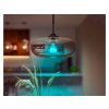 PHILIPS Hue White and Color Ambiance 15W 1600 E27