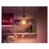 PHILIPS Hue White and Color Ambiance 15W 1600 E27