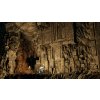 Dark Souls II: Scholar of the First Sin (PC) Steam Key