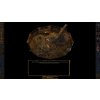Baldur's Gate: Enhanced Edition (PC) Steam Key