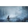 DARK SOULS III - Ashes of Ariandel DLC (PC) Steam Key