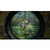 theHunter: Call of the Wild (PC) Steam Key