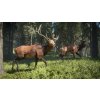 theHunter: Call of the Wild (PC) Steam Key