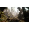 Warhammer: Vermintide 2 - Collector's Edition (PC) Steam Key