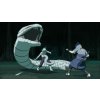 NARUTO SHIPPUDEN: Ultimate Ninja STORM Trilogy (PC) Steam Key