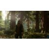 Days Gone (PC) Steam Key