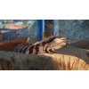 Planet Zoo: Australia Pack DLC (PC) Steam Key