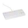 Genesis herná klávesnica THOR 230/TKL/RGB/Outemu Red/Drôtová USB/US layout/Biela