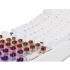 Genesis herná klávesnica THOR 230/TKL/RGB/Outemu Brown/Drôtová USB/US layout/Biela