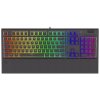 ENDORFY herná klávesnica Omnis Pudd.Kailh RD RGB /USB/ red switch / drôtová / mechanická / US layout / čierna RGB