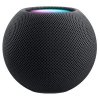 Apple HomePod mini Space Gray EU