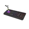 GENESIS herná klávesnica THOR 230/TKL/RGB/Outemu Silent Lemon/Bezdrôtová USB + Bluetooth/US layout/Č