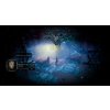Weird West - Definitive Edition (PC) Steam Key