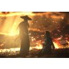 Ghost of Tsushima - Director's Cut (PC) Steam Key