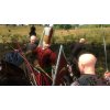 Mount & Blade: With Fire & Sword (PC) Steam Key