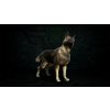 Diablo IV: Vessel of Hatred - Ultimate Edition DLC (XSX/S) Xbox Live Key