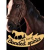 My Horse: Bonded Spirits (PC) Steam Key
