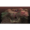 Warhammer 40,000: Gladius - Demolition Pack DLC (PC) Steam Key