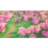 art of rally (PC) Steam Key