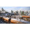 Battlefield 2042 - Elite Edition (XSX/S) Xbox Live Key