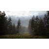 Hunting Simulator 2 - Bear Hunter Edition (PC) Steam Key