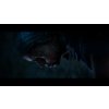 Senua's Saga: Hellblade II (XSX/S, W10) Xbox Live Key