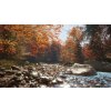 theHunter Call of the Wild - New England Mountains (PC) Steam Key