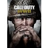Call of Duty: WWII (PC) Steam Key
